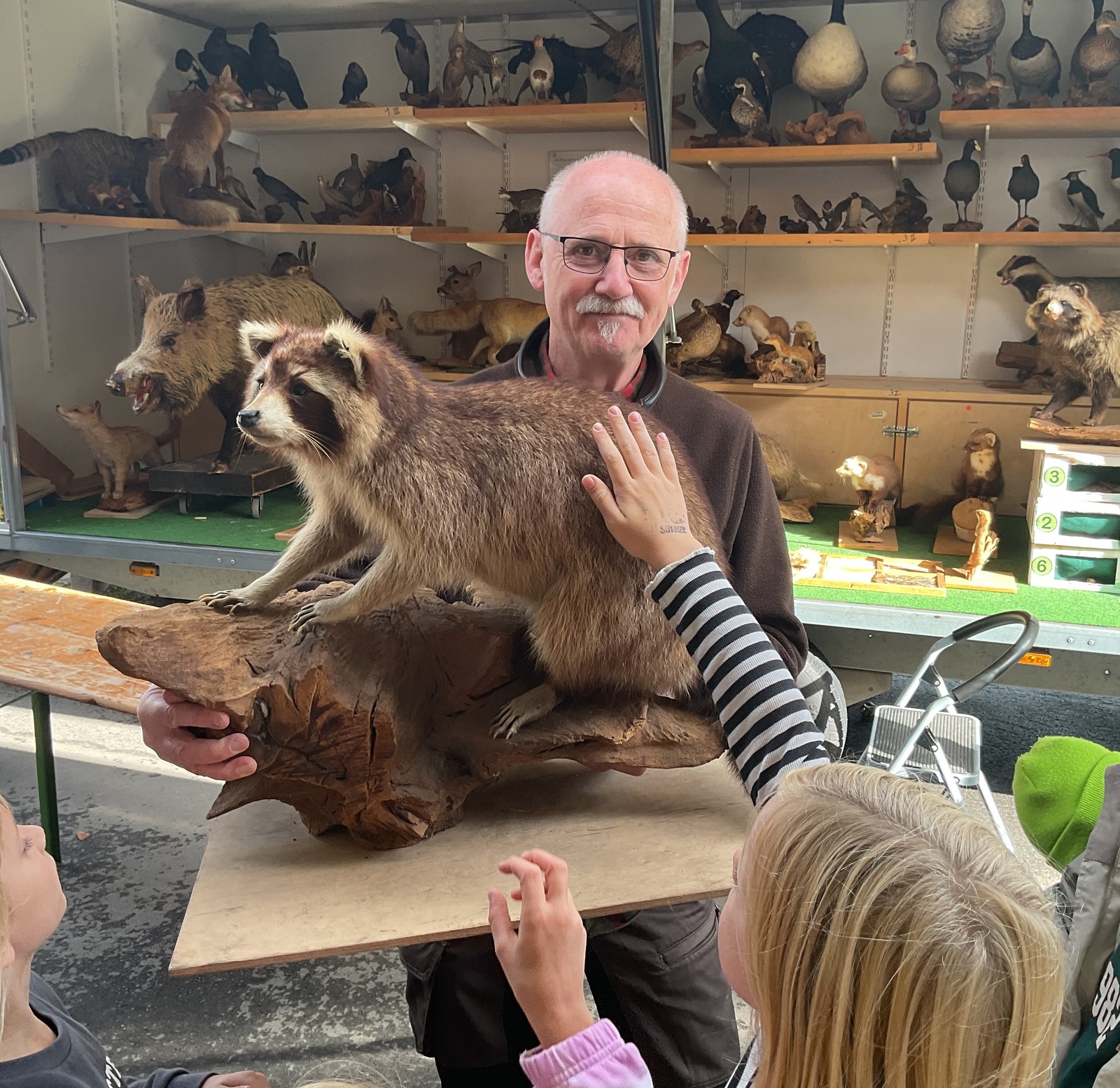 Rollenden Waldschule