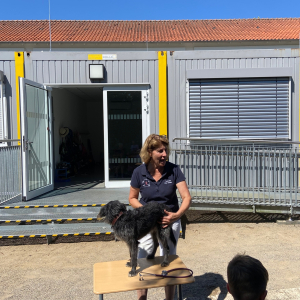Eine Tierärztin in der Schule